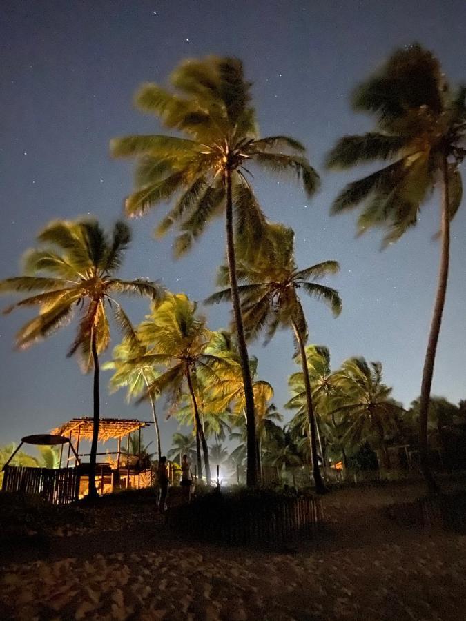 Hôtel Bahia Surf Camp à Abrantes Extérieur photo